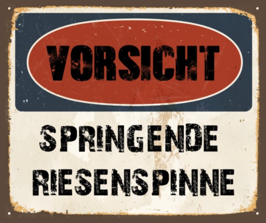 Schild Vorsicht Springspinne 42x35cm