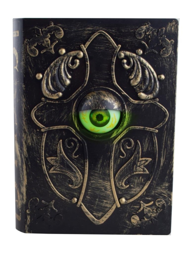 Buch mit Auge [22cm]