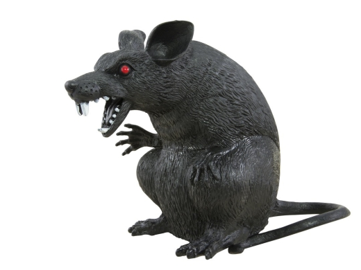 Ratte [18cm]