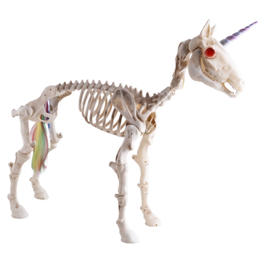Einhorn Skelett [60cm]