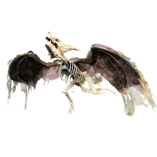 Flying Dragon, Skelett [90cm]