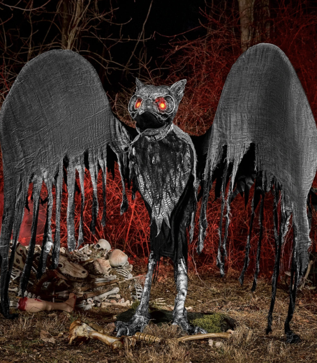 Night Owl [182cm]