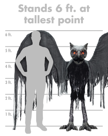 Night Owl [182cm]