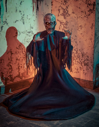 Mr. Dark [bis 270cm]
