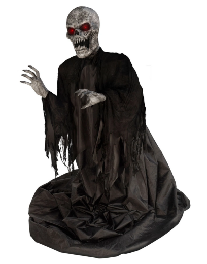 Mr. Dark [bis 270cm]