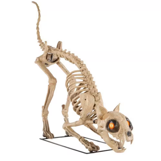 Skelett Katze [152cm]