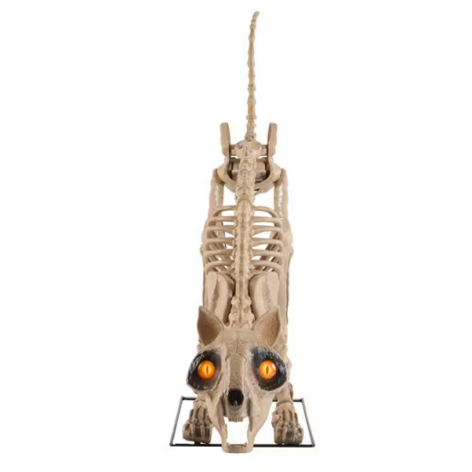 Skelett Katze [152cm]
