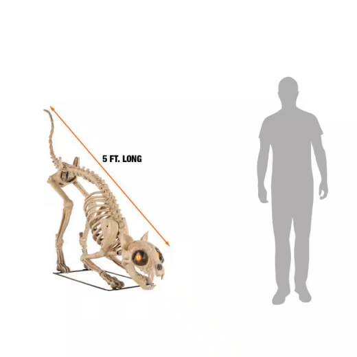Skelett Katze [152cm]