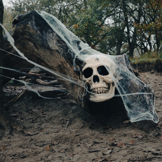 SCHÄDEL Bighead "XL" [35x35x47cm]