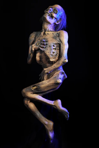 Corpse Nightfall [139cm]