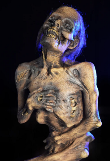 Corpse Nightfall [139cm]