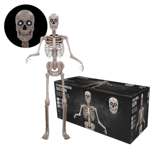 Skelett XL "Robert" [243cm]