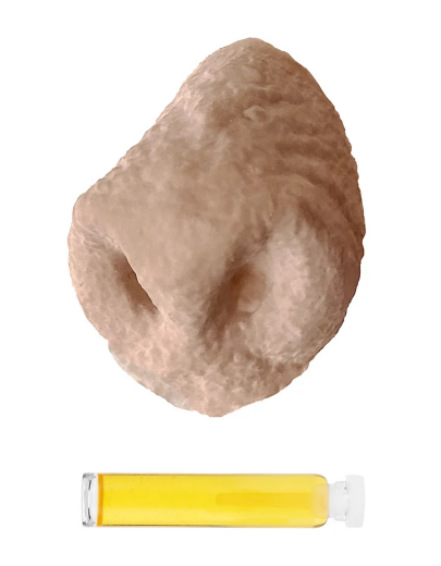 Nase "Ork" aus Latex