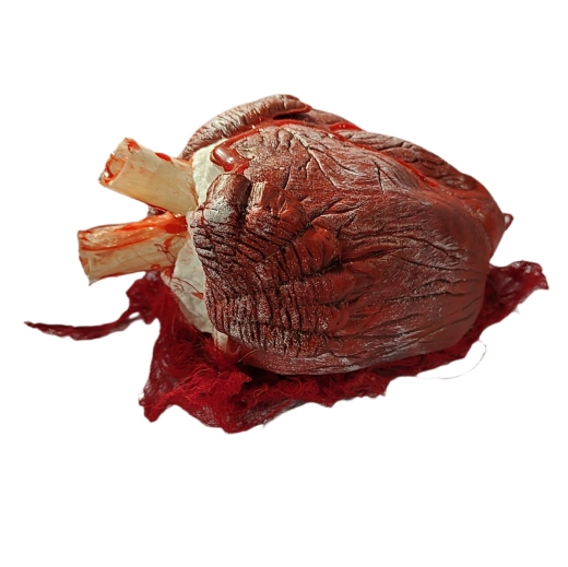 Blutiges, schlagendes Herz