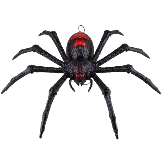 Terror-Vogelspinne [70cm]