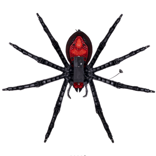 Terror-Vogelspinne [70cm]