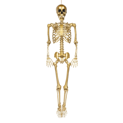 Gold Skelett "Ado" [160cm]