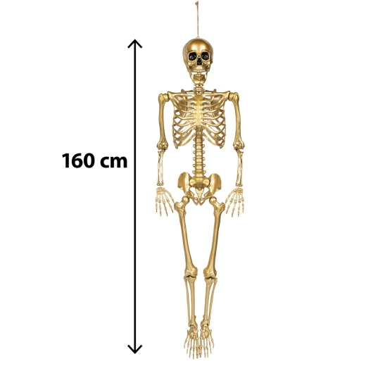 Gold Skelett "Ado" [160cm]