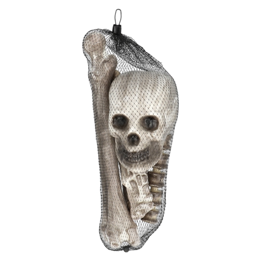 Knochenteile SET aus 6 Teilen