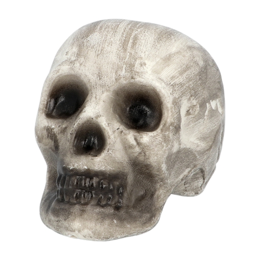 Knochenteile SET aus 6 Teilen