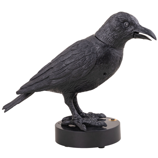 Krähe, verhext [24cm]