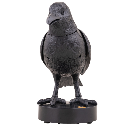 Krähe, verhext [24cm]