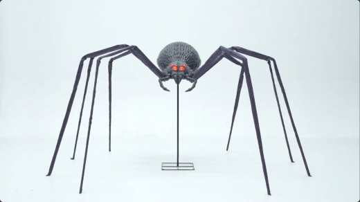 Spinne XL -B Ware- [135cm]