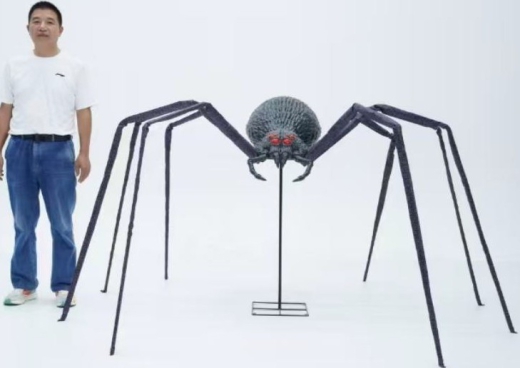 Spinne XL -B Ware- [135cm]
