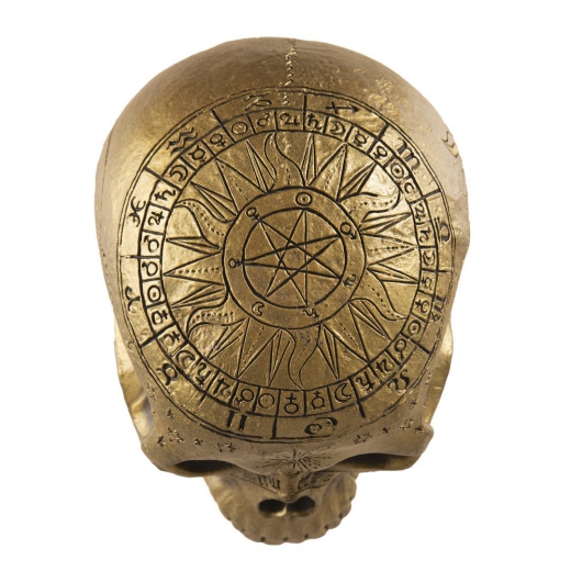 Schädel, gold [20cm]