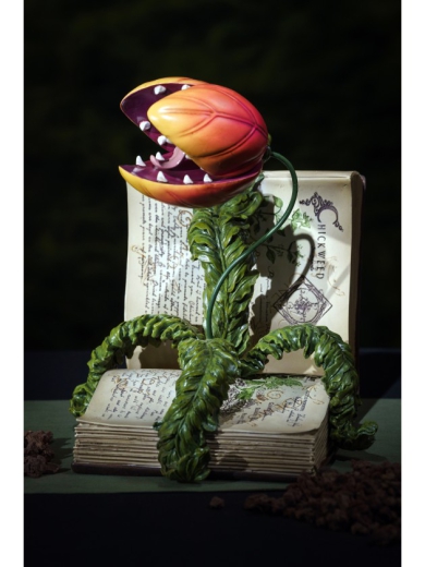 Pflanze im Buch [29cm]