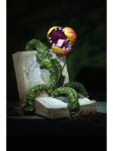 Pflanze im Buch [29cm]