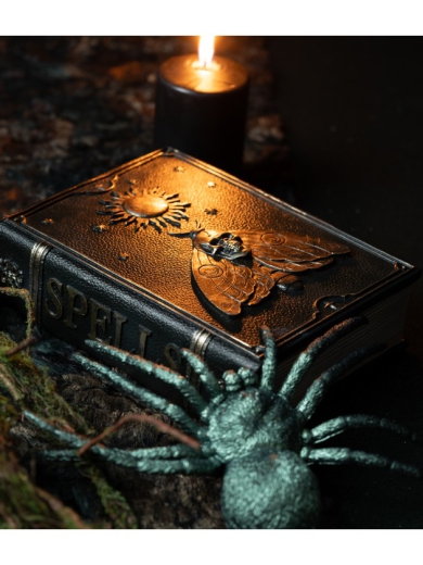 Buch "SPELLS" mit Schmetterling [20cm]