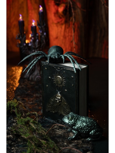 Buch "SPELLS" mit Schmetterling [20cm]