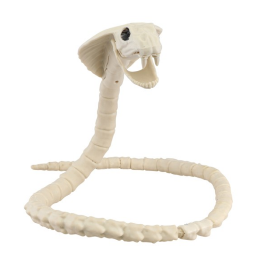 Schlange, Cobra