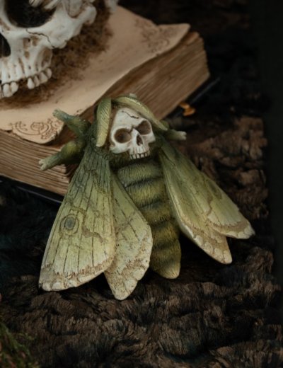 Schmetterling "TOTENKOPF" 3er Set