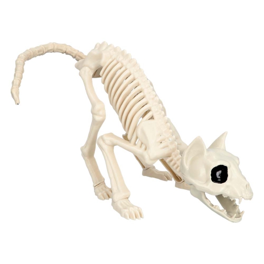 Katzenskelett "Jumpy" [49 x 18 x 14cm]