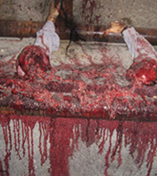 Deko - Blut "Perma Blood", 940ml