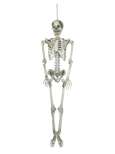 Hängefigur Skelett [ca 150cm]