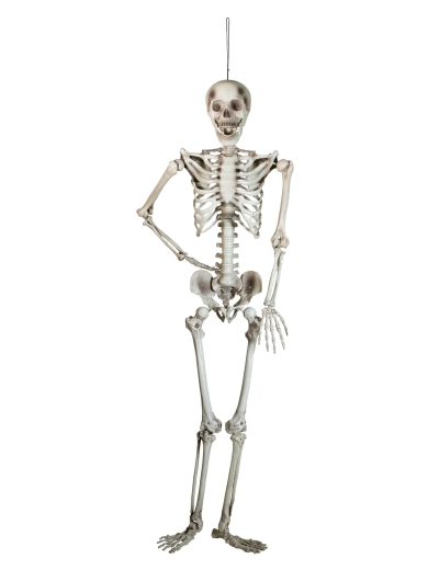 Hängefigur Skelett [ca 150cm]