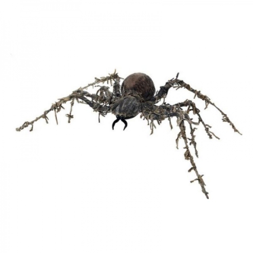 Spinne, braun 60 x 43 cm