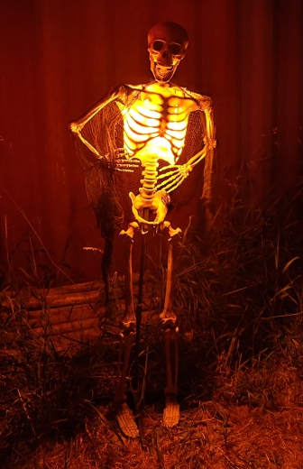 Skelett Laterne -DIY- [160cm]