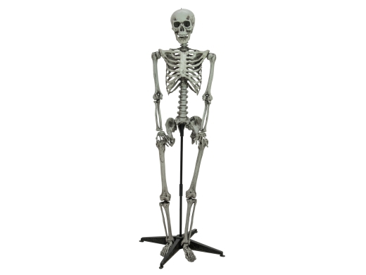 Skelett Laterne -DIY- [160cm]