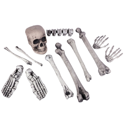 Knochenteile SET aus 12 Teilen