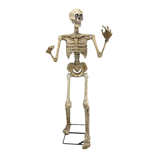 Skelett Oskar [150cm]