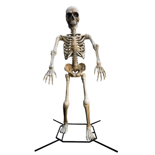 Skelett XXL [335cm]