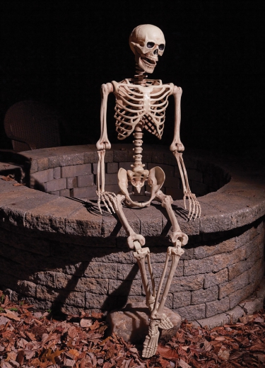 Positionierbares Skelett [150cm]