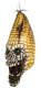 Maske "Evil Corn"