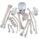 Knochenteile XL SET aus 18 Teilen