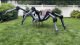 Spinne “Arachnophobia" XXL mit LED [Ø 288cm]