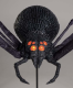Spinne XL -B Ware- [135cm]